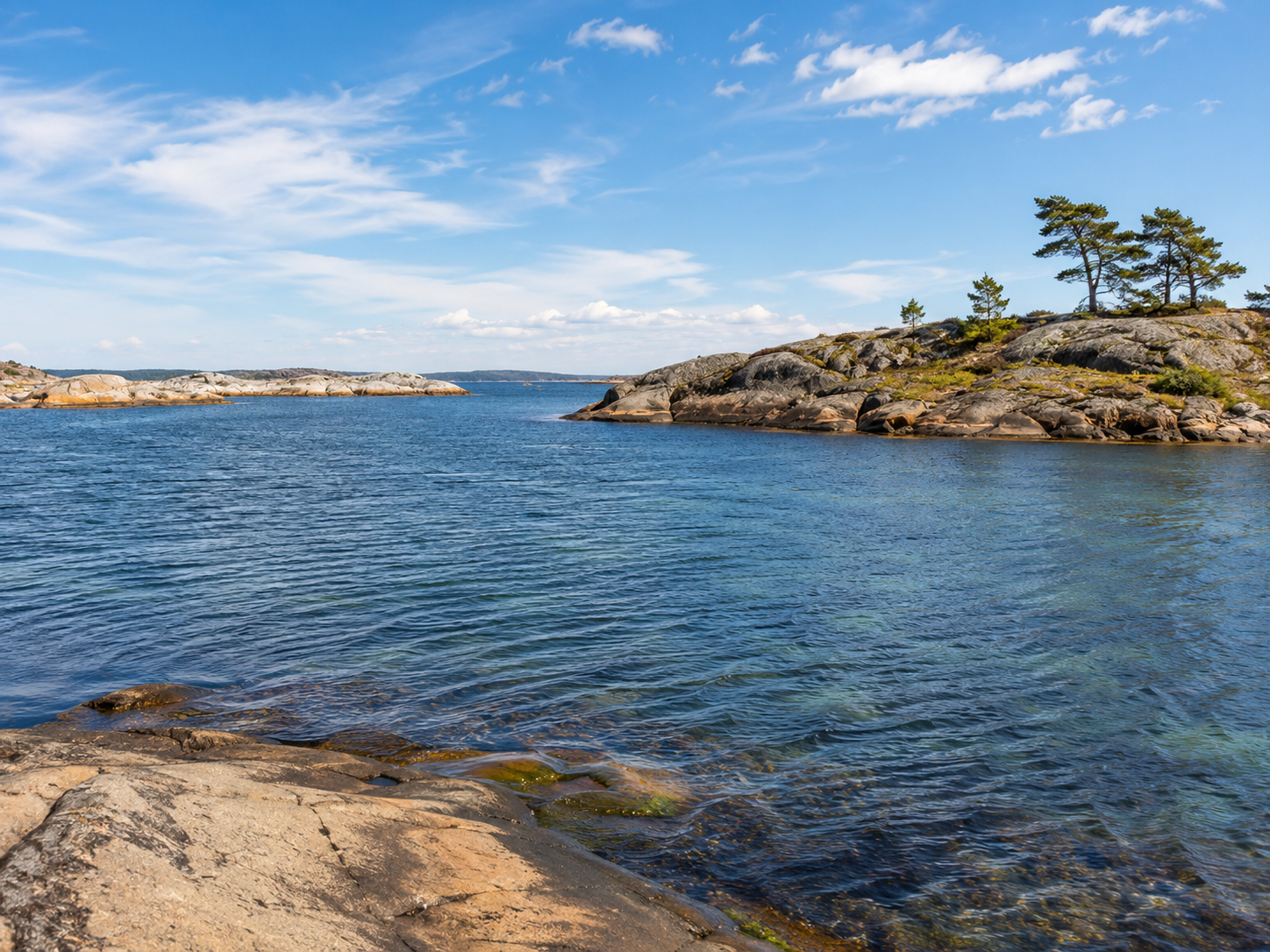 Lugn havsvik med klippor och tallar
